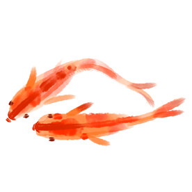 鲤鱼