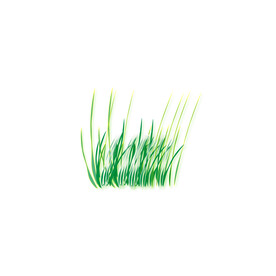 小草