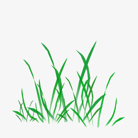 小草
