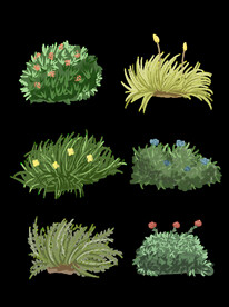 小草