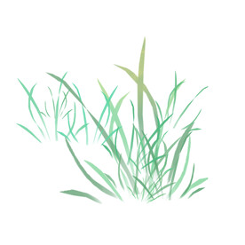 小草