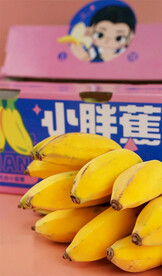皇帝香蕉