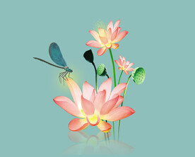 荷花