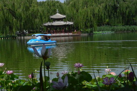 公园风景 