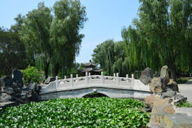 公园风景