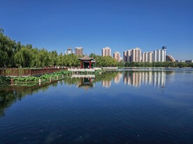 公园风景