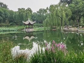 公园风景