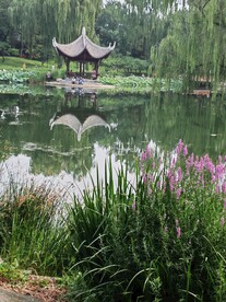 公园风景  