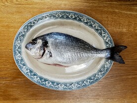 一条鱼