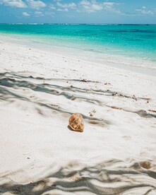 海螺