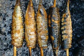 夏日烤鱼