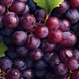 葡萄 