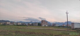 夏天的田野