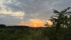 夕阳