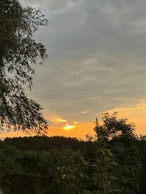 夕阳 