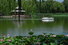 公园风景  