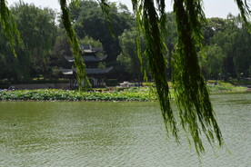 公园风景  
