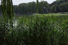 公园风景  