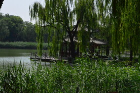 公园风景  