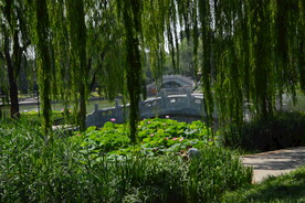 公园风景 