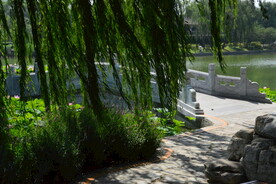 公园风景 