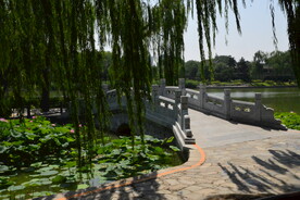 公园风景  