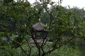 公园风景 