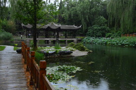 公园风景 