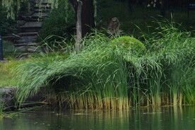 公园风景 