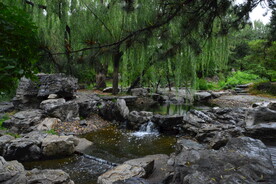 公园风景 