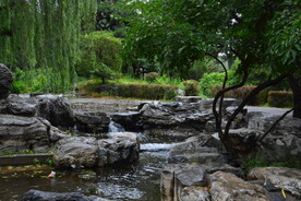公园风景