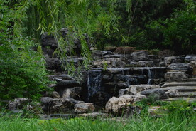 公园风景 