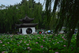 公园风景 