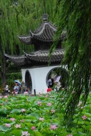 公园风景