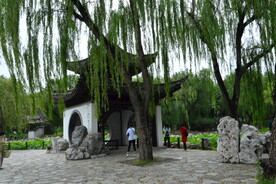 公园风景