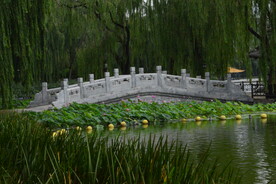公园风景