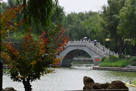 公园风景 