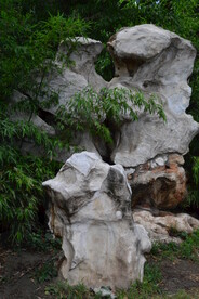 公园风景