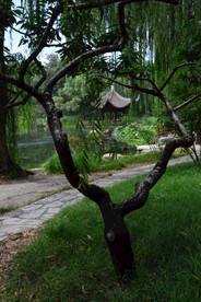 公园风景