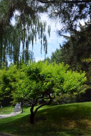公园风景 