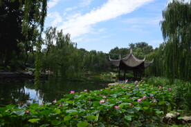 公园风景