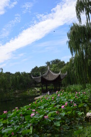 公园风景