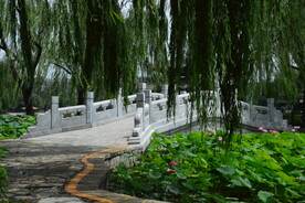 公园风景 
