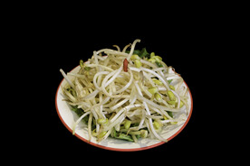 井水豆芽