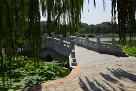 公园风景 