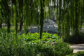 公园风景