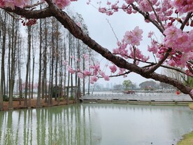 无锡鼋头渚