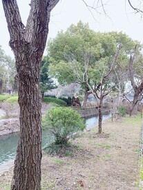 无锡蠡园