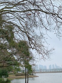 无锡鼋头渚