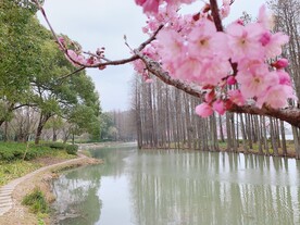 无锡鼋头渚
